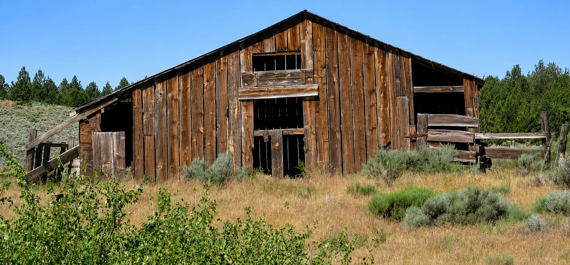 Rustic barn surrounded by greenery